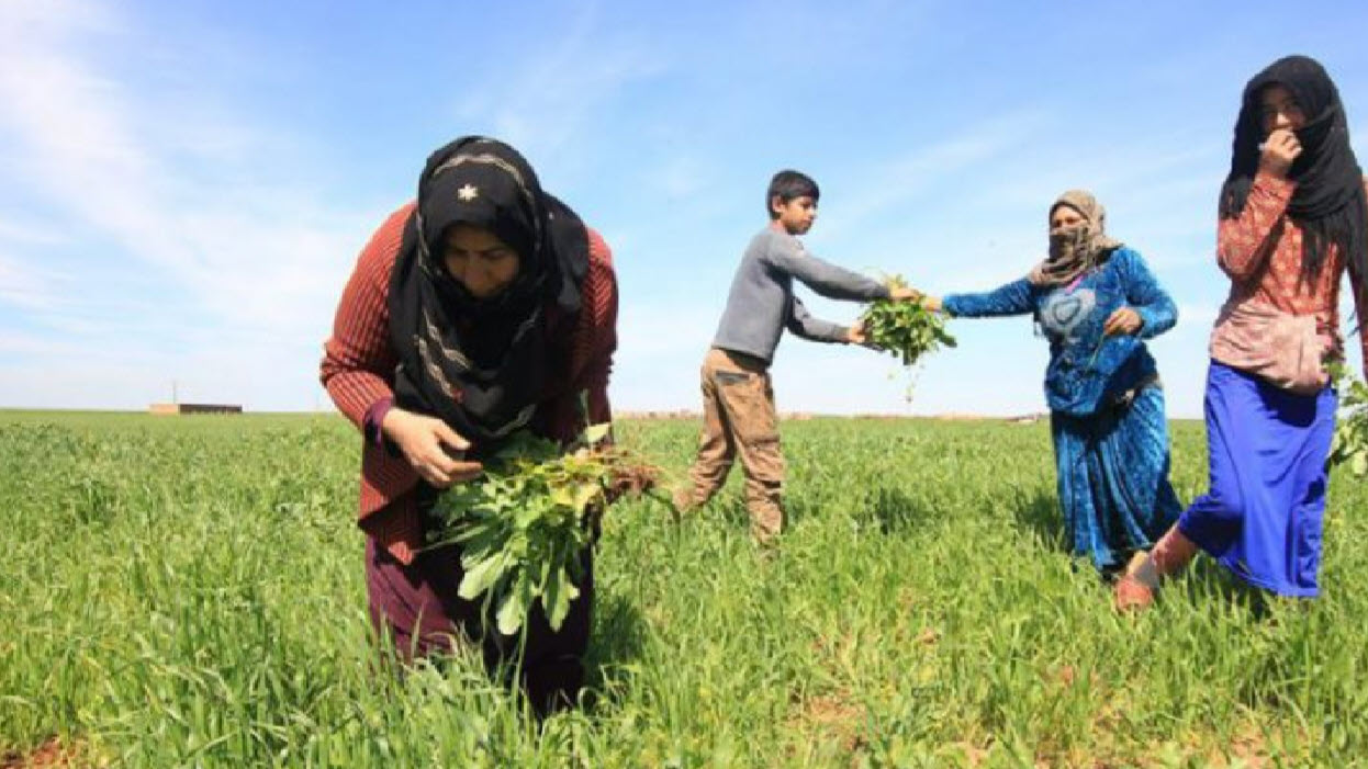 Rojava: Μια κοινωνία που δεν είναι ικανή να υπερασπίζεται και να φροντίζει για την υγεία της δεν μπορεί ποτέ να είναι ελεύθερη