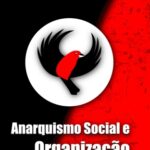 Διαβάζοντας το «Κοινωνικός Αναρχισμός και Οργάνωση» της FARJ: Μια σύντομη ανάλυση για τον Εσπεσιφισμό