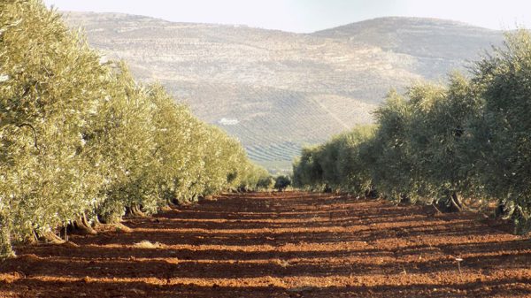 Αμπντουλάχ Οτζαλάν – Για την επιστροφή στην κοινωνική οικολογία