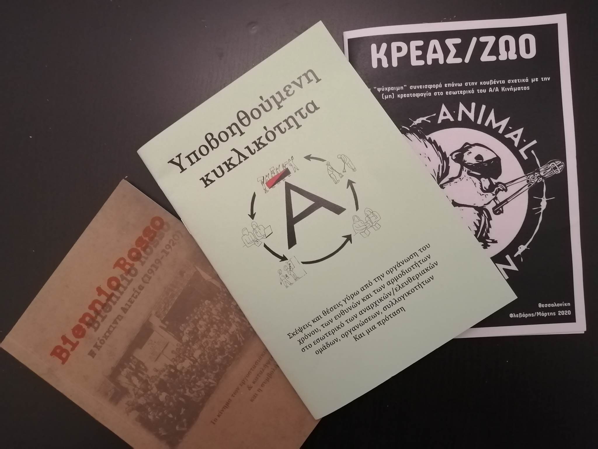 Έκδοση Μπροσούρας: “Υποβοηθούμενη Κυκλικότητα” – Ortus