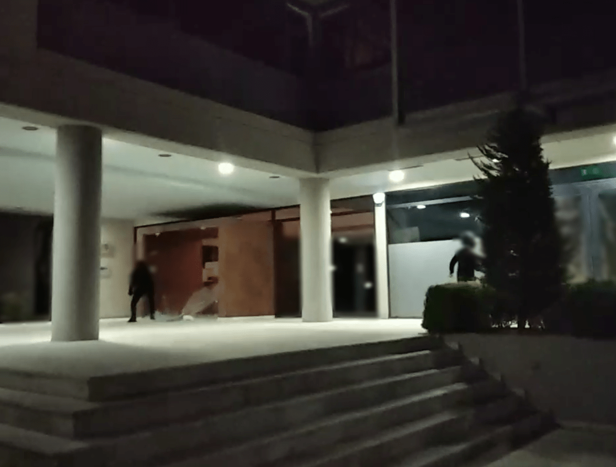 paladino εισπρακτική εταιρεία Paladino