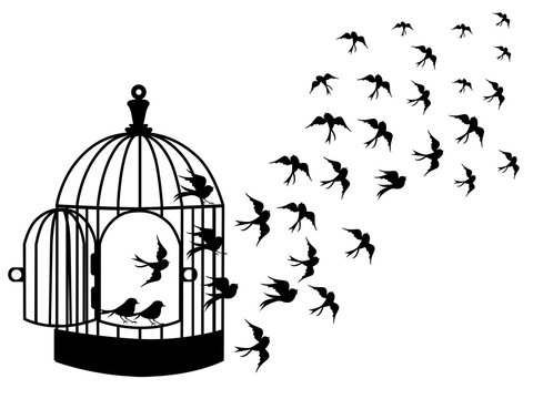 χατζηβασιλειάδης χατζηβασιλειάδης