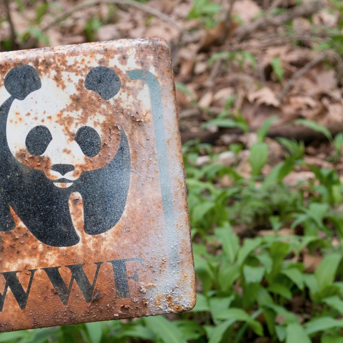 H WWF κατηγορήθηκε για εξαπάτηση, συγκάλυψη και ανεντιμότητα